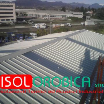 img00354_2.jpg